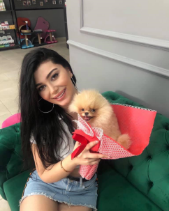 Satılık Pomeranian Boo Yavru köpekleri diğer süs köpeği cinsleri arasında en sadık cinstir. Zaten sevecen olan bu köpek, sahibine karşı beslediği yoğun sevgiyle muhteşem bir bağ oluşturmaktadır. Sizde  pomeranian boo yavrusu satın almak ve  sahibi olmak  istiyorsanız hemen arayın!  Pomeranian Boo Fiyat Müşteri Hattı : 0532 477 17 95